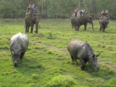 Kathmandu Pokhara Citwan Tour